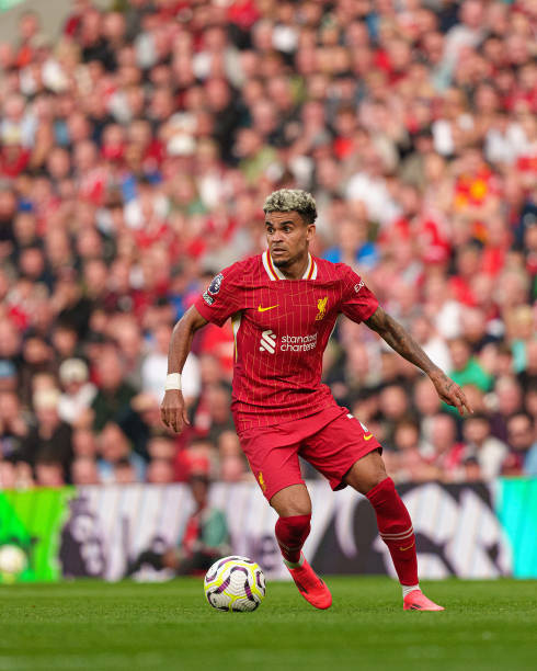 助他重新赢 助他重新赢